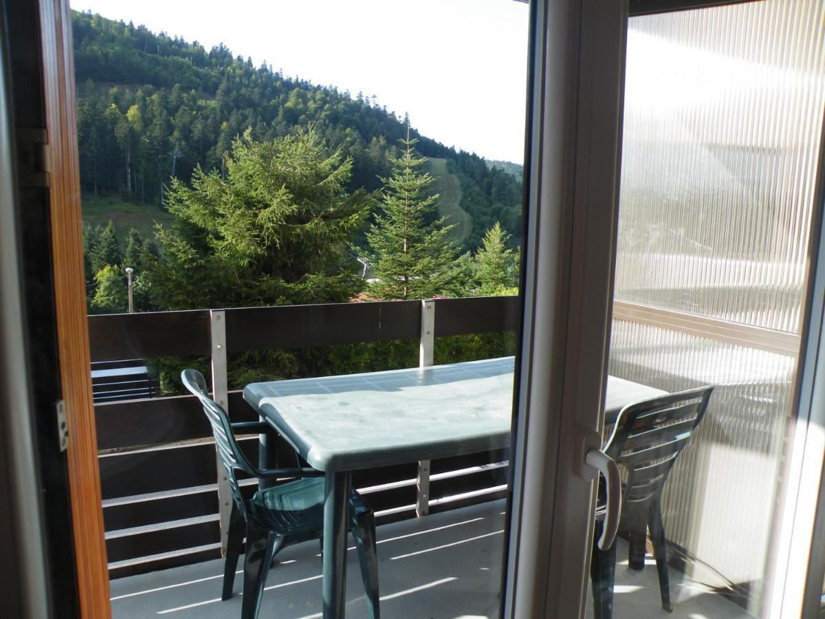 Appartement A La Montagne ,Vue Sur Les Pistes La Bresse Kültér fotó